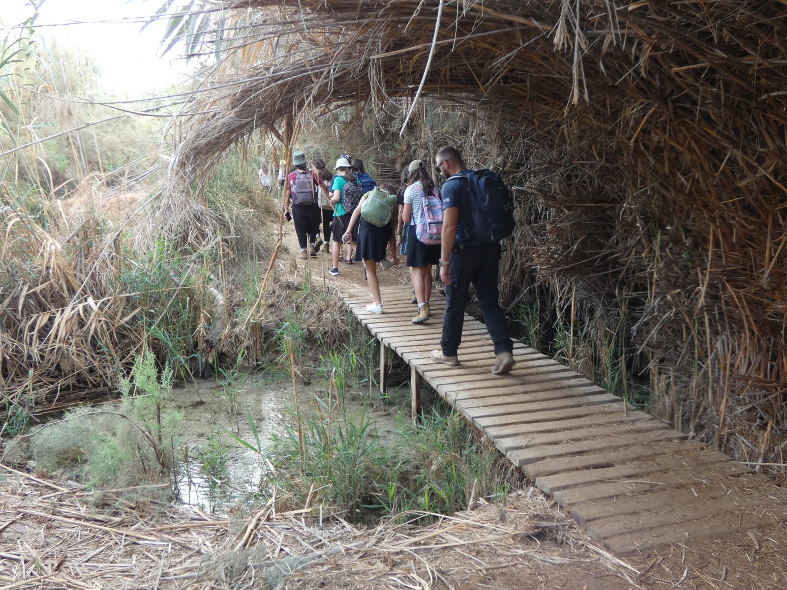 בשמורה החבויה בעינות צוקים