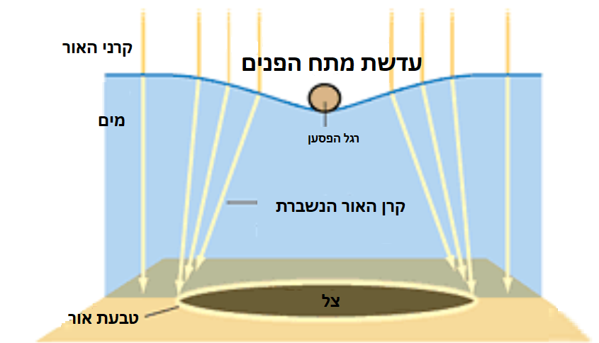 דיאגרמת הסבר על מתח הפנים עם אלמנטים של מים, מקור אור וצל.